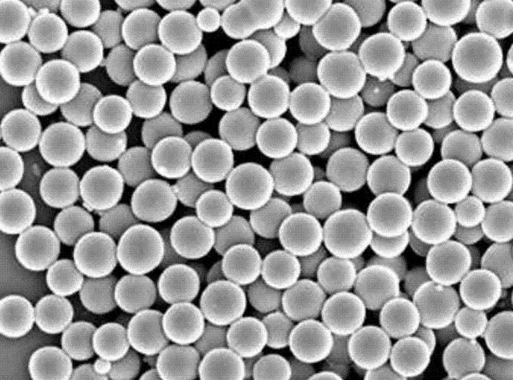Hollow microsphere